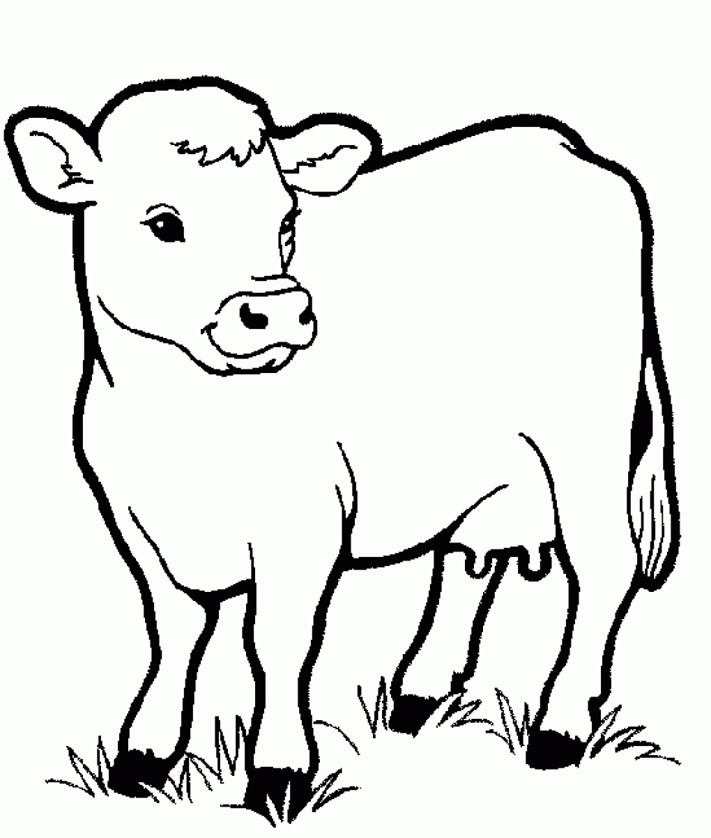 cow colouring sheet cow coloring free animal coloring pages sheets cow sheet cow colouring 
