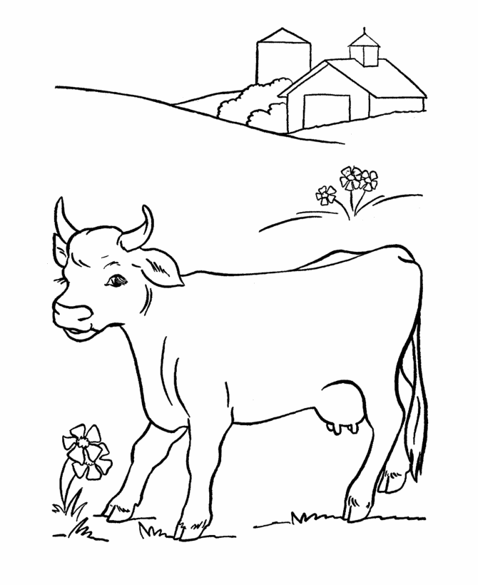 cow colouring sheet farm animal cattle cow coloring sheet cow sheet colouring 