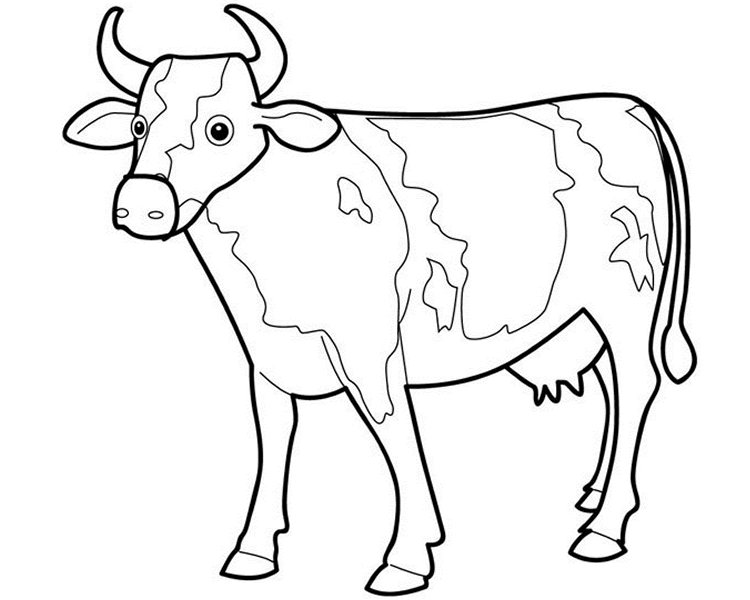 cow pictures to color free coloring pages for kids to color pictures cow 