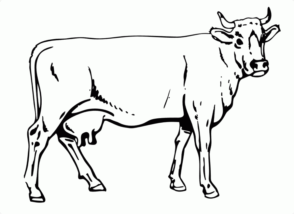 cow pictures to color free printable cow coloring pages for kids cow to color pictures 