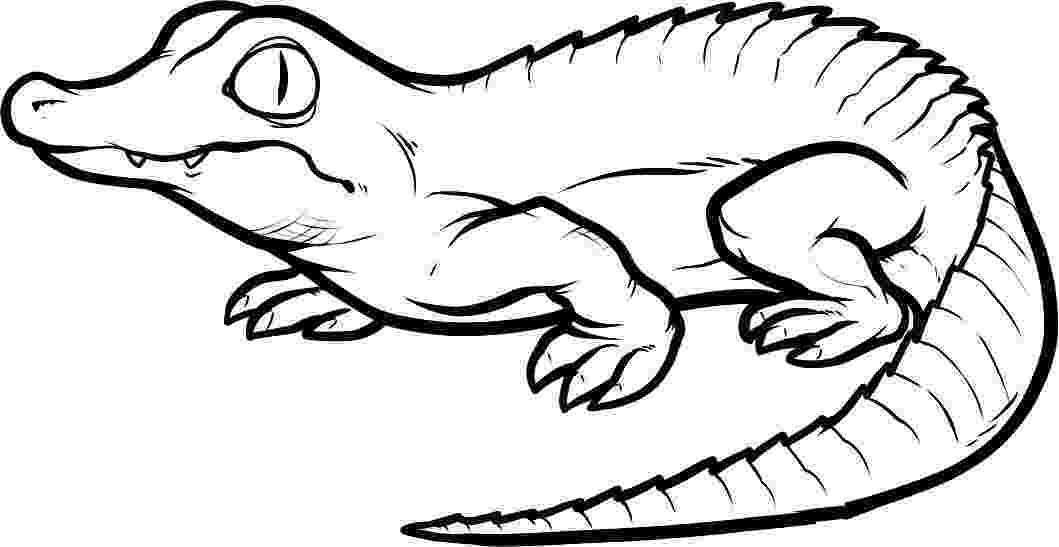 crocodile colouring pages free coloring pages crocodiles crocodile colouring pages 
