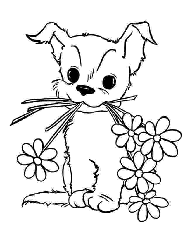 cute animal coloring sheets cute drawing animals at getdrawings free download coloring sheets cute animal 