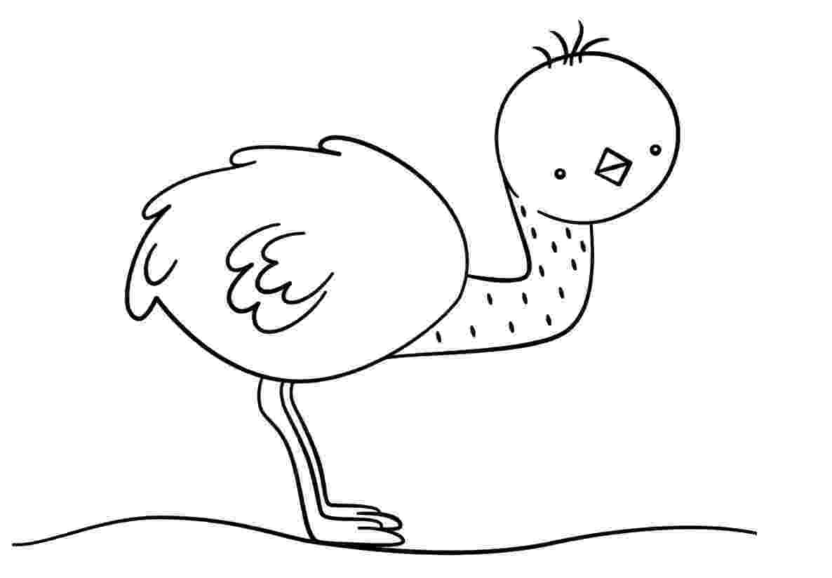 cute coloring pages to print cute baby ostrich coloring page print coloring pages cute to 