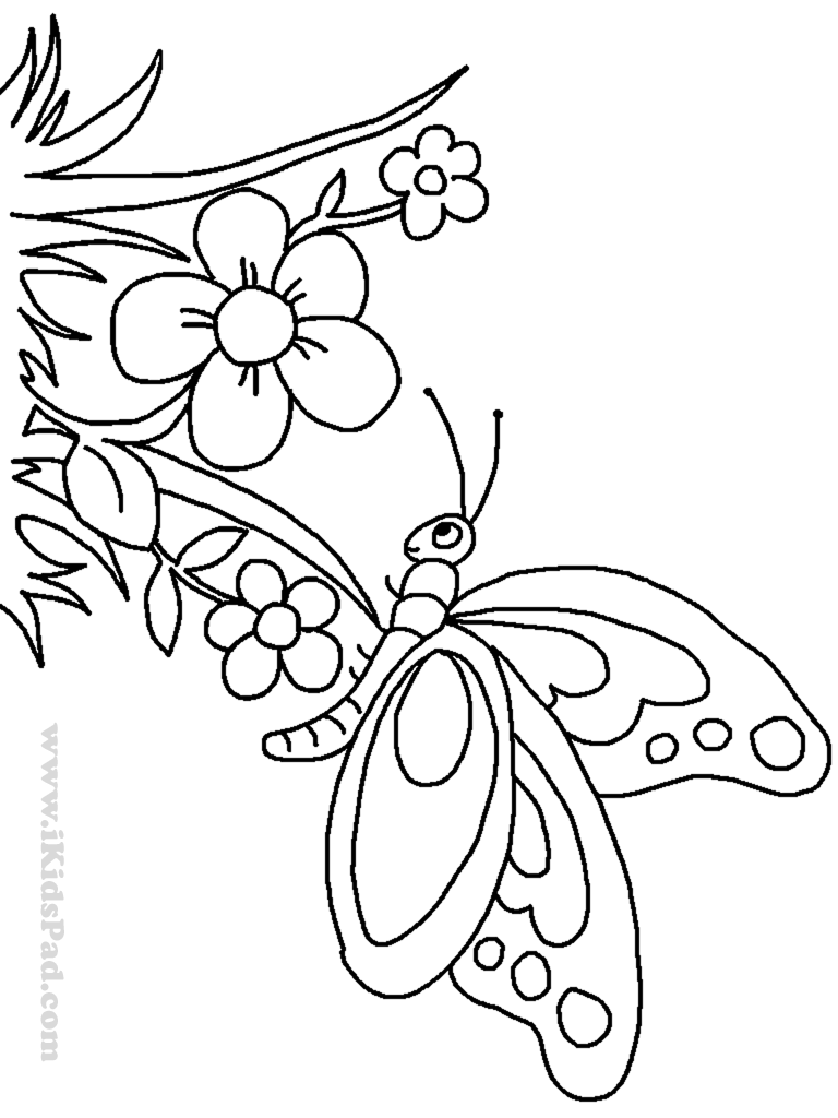 cute flower coloring pages 3 simple flower coloring flowers coloring pages big cute coloring pages flower 