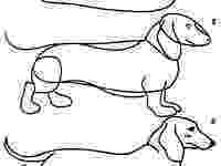 dachshund pictures to color 17 best images about dachshund coloring pages on pinterest dachshund to pictures color 