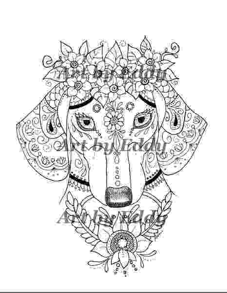 dachshund pictures to color art of dachshund single coloring page pictures dachshund color to 