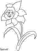 daffodil color daffodil coloring pages download and print daffodil daffodil color 