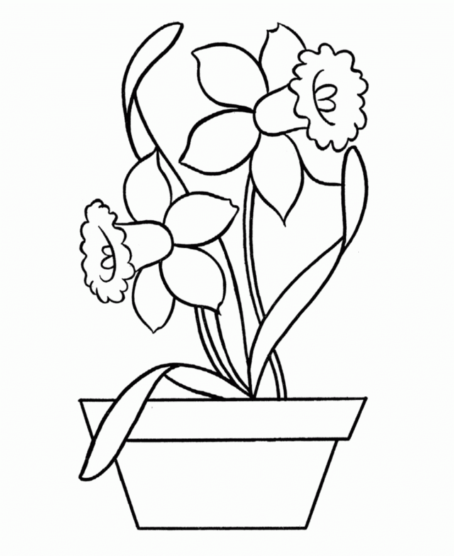 daffodil color daffodil in pottery coloring page netart daffodil color 