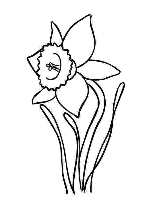 daffodil color free cartoon daffodil download free clip art free clip daffodil color 