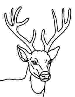 deer head coloring pages deer head coloring pages at getcoloringscom free deer coloring pages head 