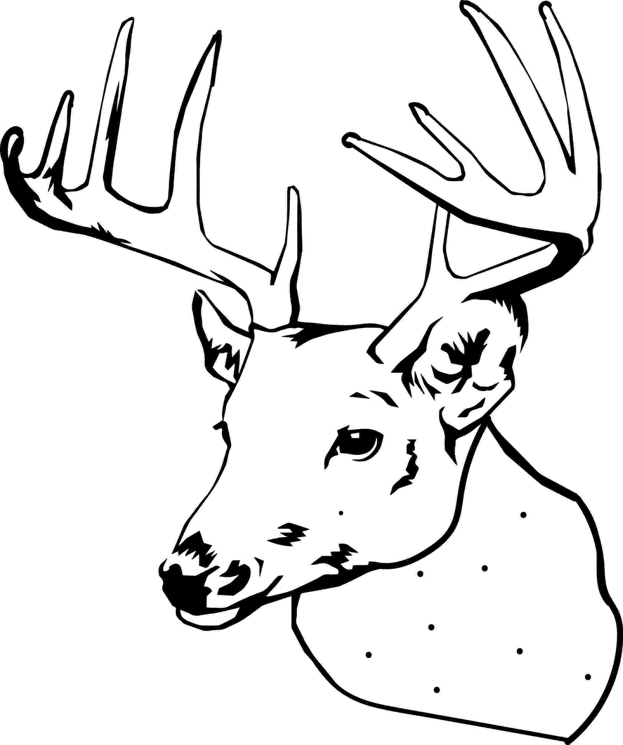 deer head coloring pages free printable deer coloring pages for kids coloring deer head pages 