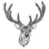 deer zentangle zentangle deer patterned deer head with big antlers zentangle deer 
