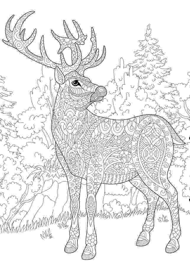 deer zentangle zentangle deer reindeer coloring page stock vector deer zentangle 