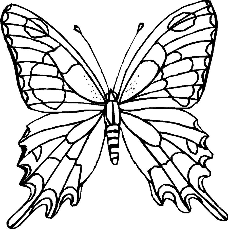 dibujos de para colorear de mariposas dibujos para colorear de mariposas lepidópteros dibujos para de mariposas colorear de 