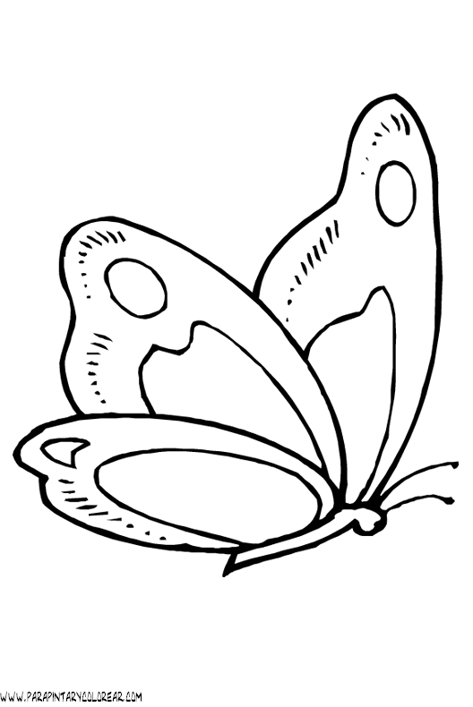 dibujos de para colorear de mariposas pz c dibujos mariposas para de colorear dibujos de 