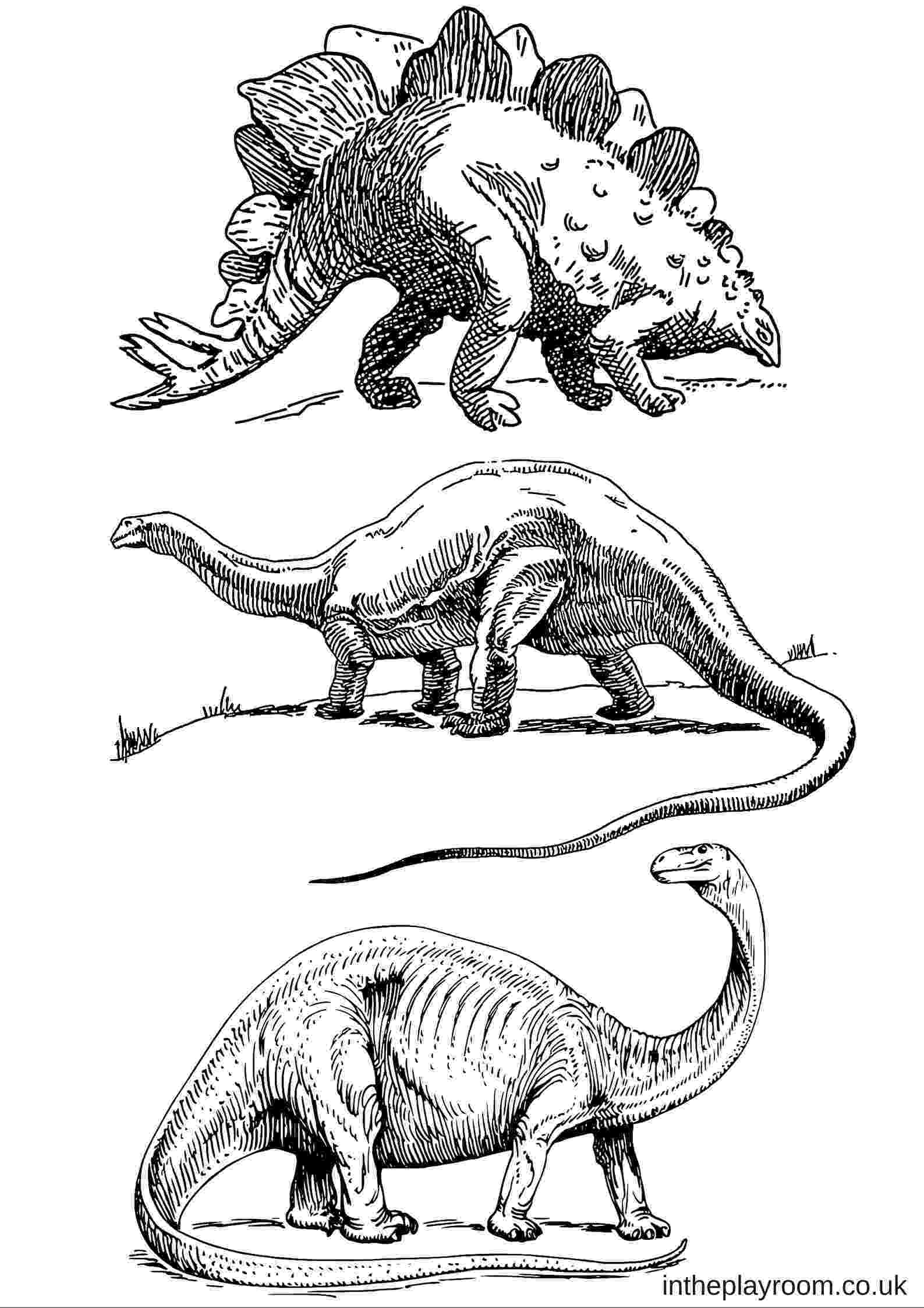 dinosaur colouring page dinosaur colouring pages in the playroom page colouring dinosaur 