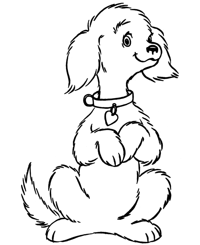 dog images to color dog coloring pages 2018 dr odd dog to images color 