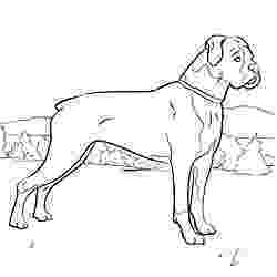 dog pictures to print out puppy printable coloring pages free cute pictures to print out pictures print to dog 