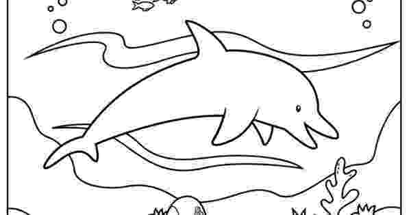 dolphin images to color free dolphin coloring page coloring pages pinterest color images dolphin to 
