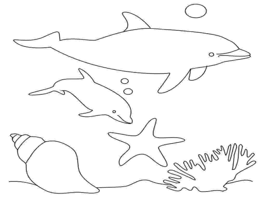 dolphin images to color free printable dolphin coloring pages for kids to dolphin images color 