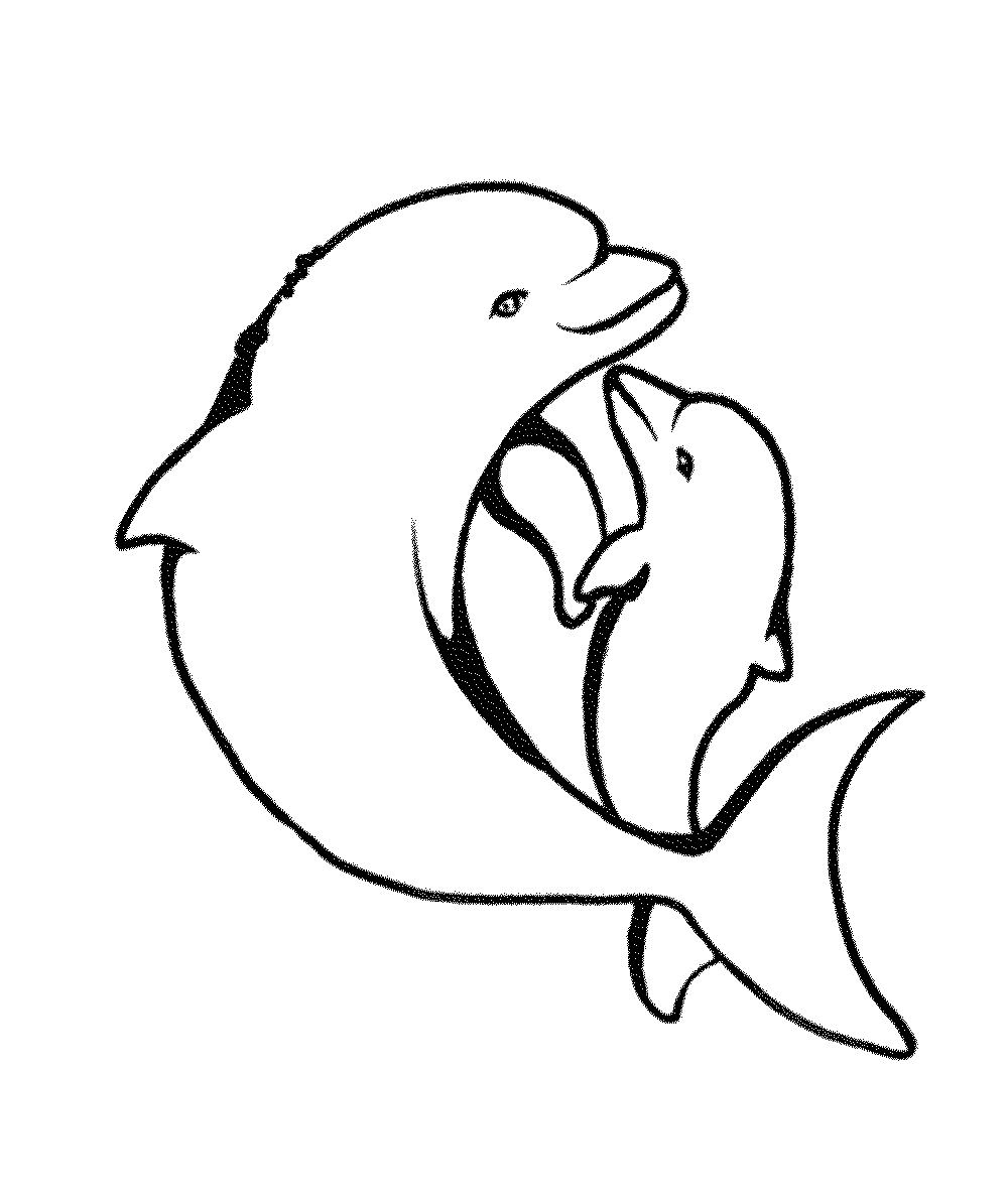 dolphin printable friendly underwater creature 20 dolphin coloring pages printable dolphin 