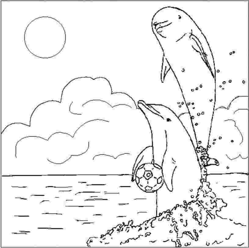 dolphin printables dolphin coloring page adult coloring sheet nautical dolphin printables 