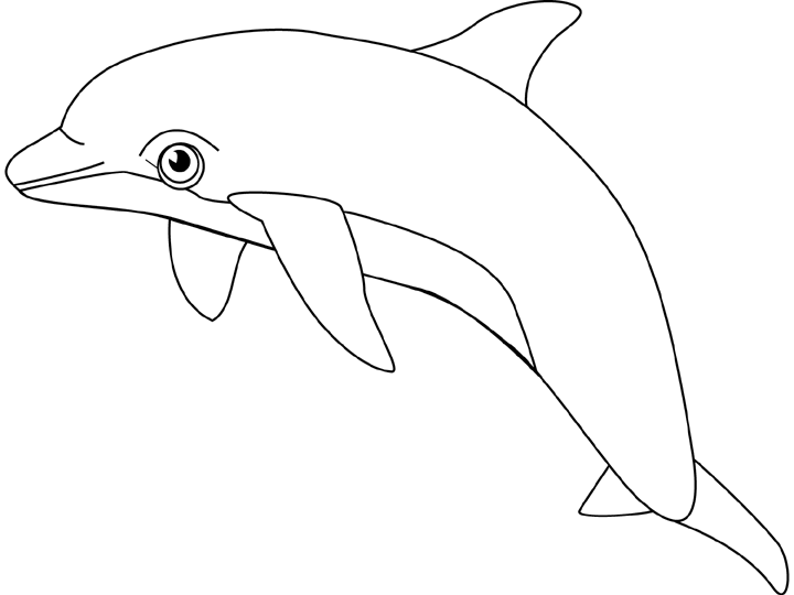 dolphin printables dolphin coloring pages team colors dolphin printables 
