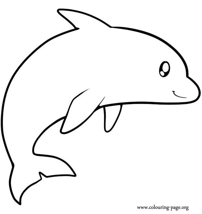 dolphin printables free printable pictures of dolphins download free clip printables dolphin 