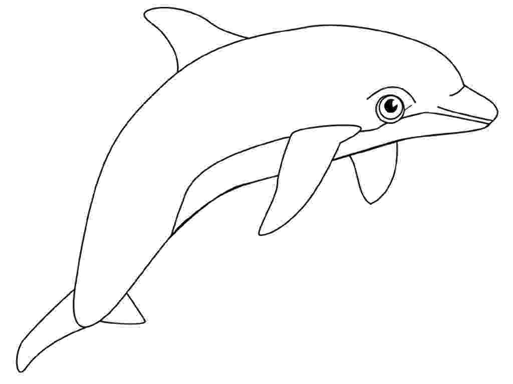 dolphin to color dolphins coloring page of simple dolphins coloring pages dolphin color to 