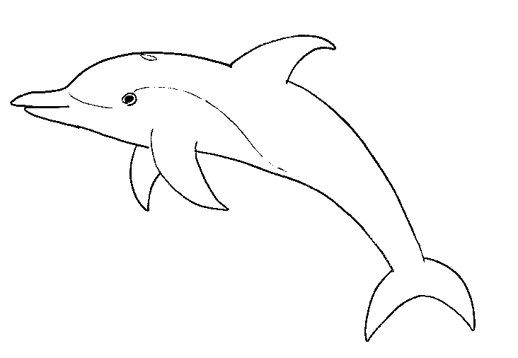 dolphin to color hello kitty rides a dolphin coloring page free printable to color dolphin 