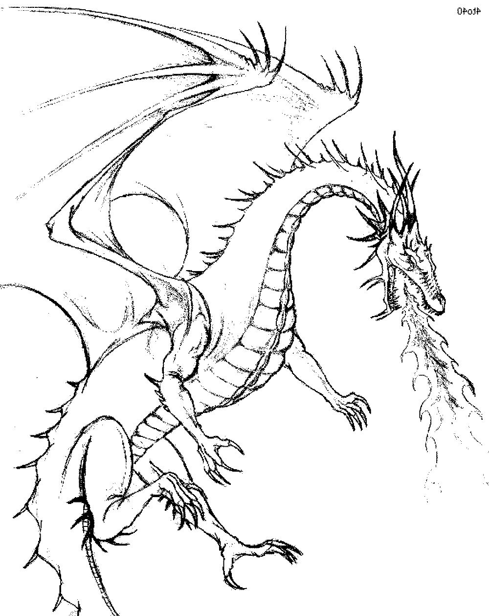 dragon coloring pics coloring pages how to draw a dragonstep by step easy coloring dragon pics 