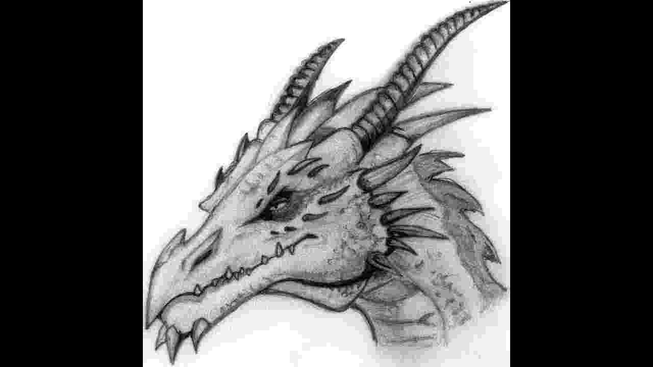 dragon pictures 21 realistic dragon drawings free premium creatives dragon pictures 