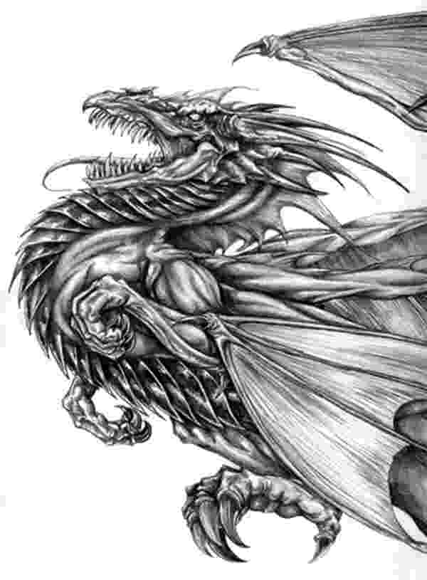 dragon pictures black and white dragon by silveraruka on deviantart dragon pictures 