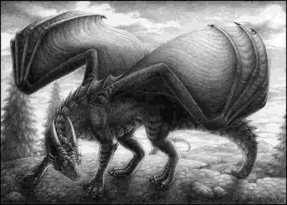 dragon pictures black and white images of dragons 8 hd wallpaper dragon pictures 