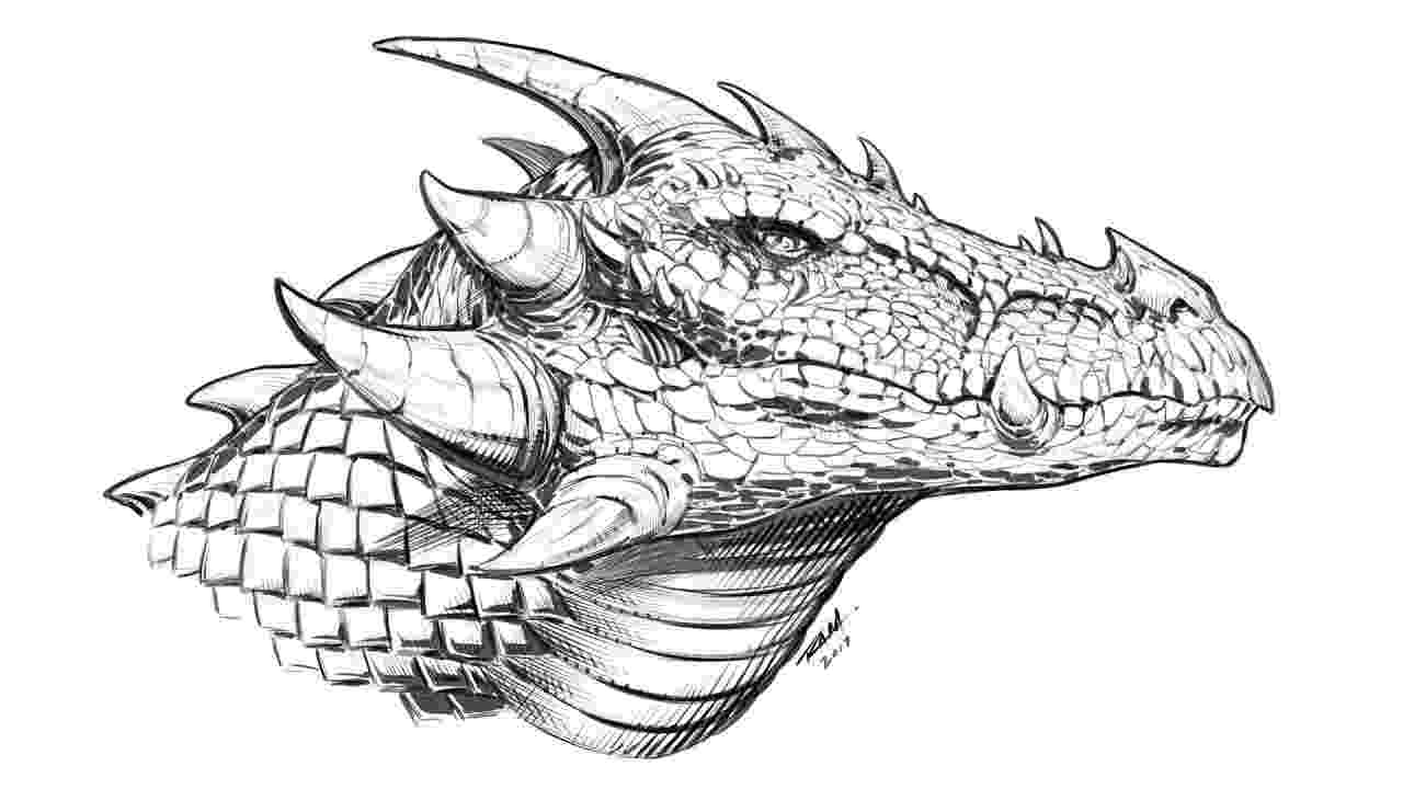 dragon pictures how to draw a dragon head side view narrated youtube pictures dragon 