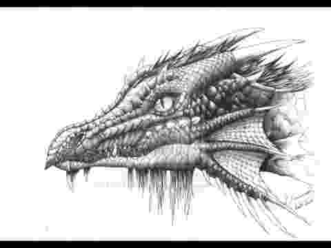 dragon pictures my dragon and fantasy drawings youtube dragon pictures 