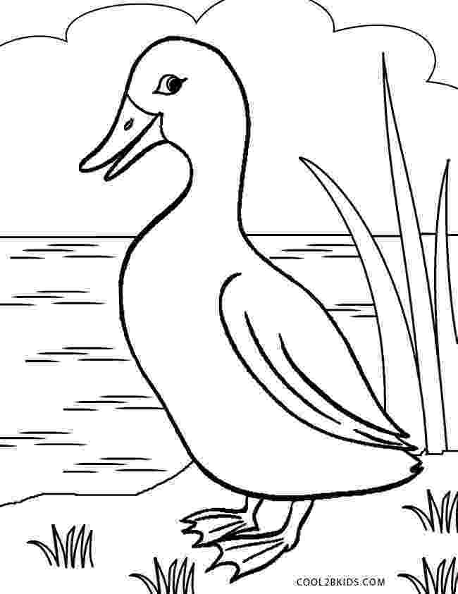 duck coloring sheet cute baby duck coloring pages google search animal sheet duck coloring 