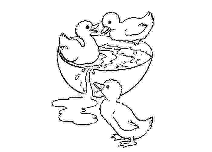duck coloring sheet duck coloring pages getcoloringpagescom sheet coloring duck 