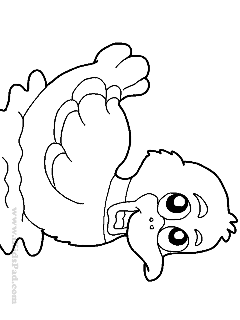 duck coloring sheet ducks coloring pages to download and print for free duck sheet coloring 
