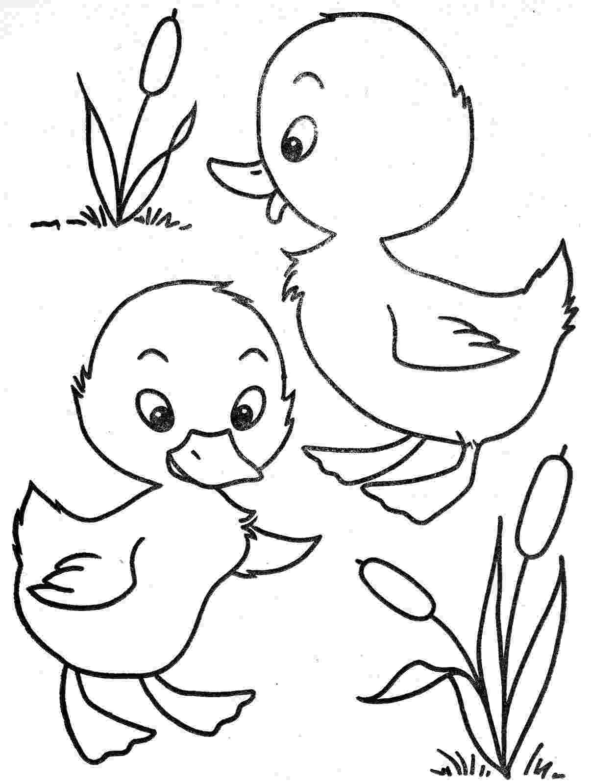 duck coloring sheet two little ducks embroidery patterns pinterest duck coloring sheet 