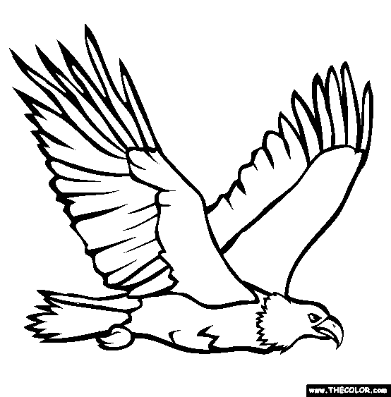 eagle colouring pictures 44 best images about kyle39s animal board on pinterest eagle pictures colouring 