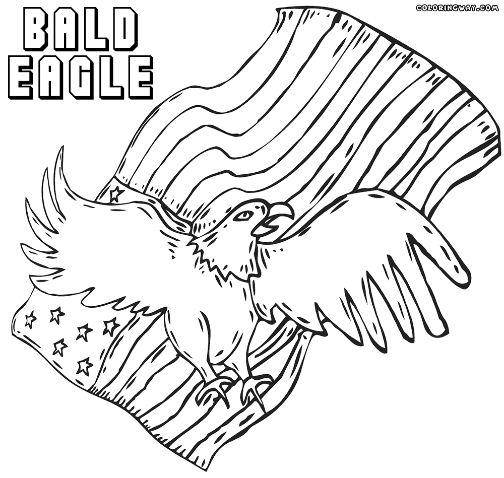 eagle colouring pictures free printable bald eagle coloring pages for kids colouring eagle pictures 1 1