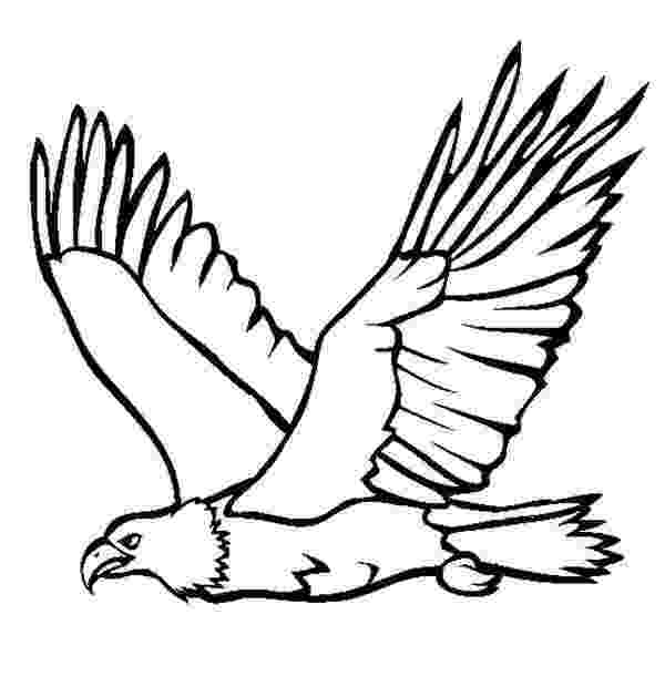 eagle colouring pictures free printable bald eagle coloring pages for kids pictures colouring eagle 