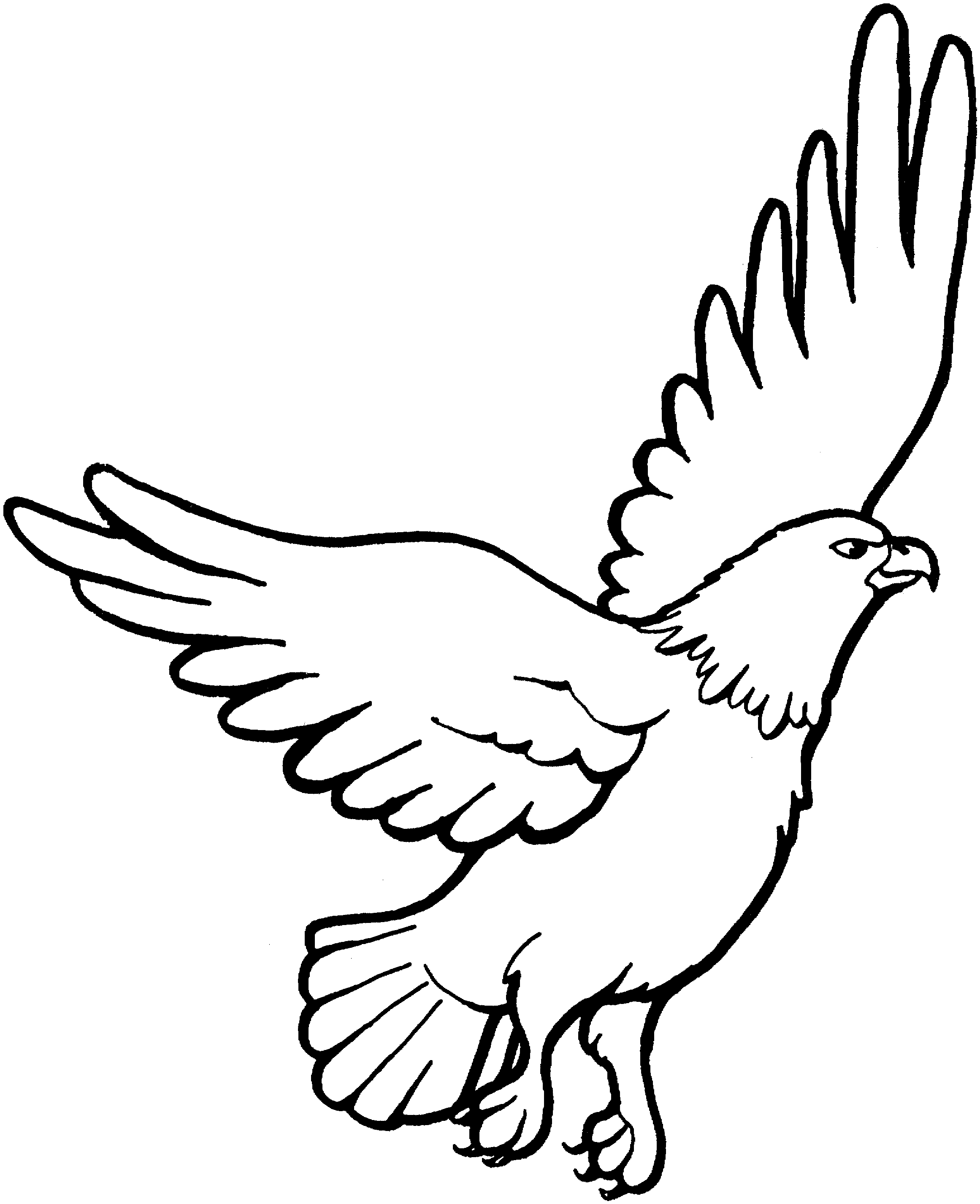 eagle colouring pictures free printable eagle coloring pages for kids eagle pictures colouring 