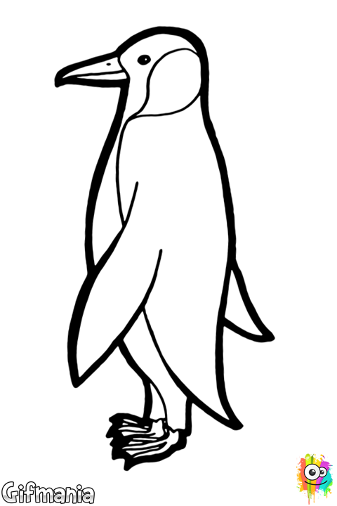 emperor penguin color free printable pictures of penguins download free clip penguin color emperor 