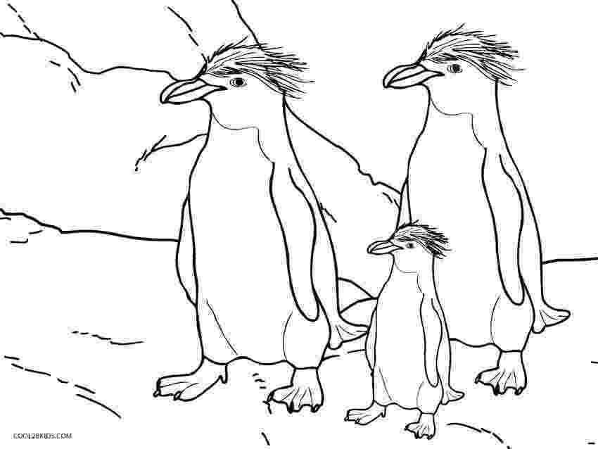 emperor penguin color printable penguin coloring pages for kids cool2bkids emperor penguin color 