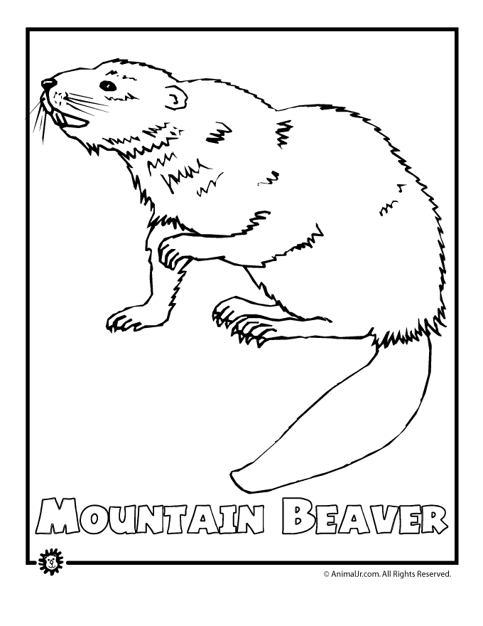 endangered species coloring pages division of forestry and wildlife education coloring species pages endangered 
