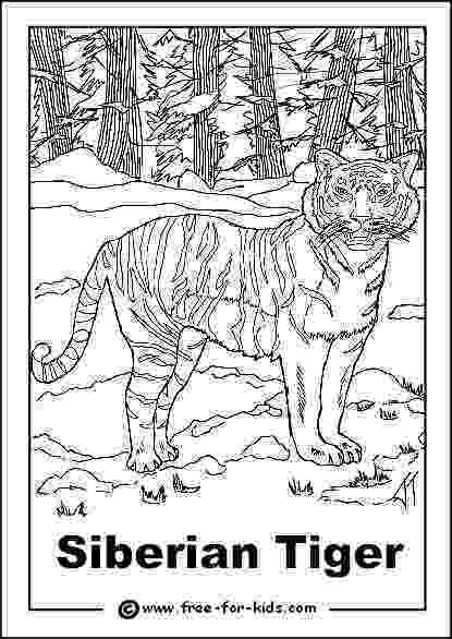 endangered species coloring pages endangered species coloring pages coloring home endangered coloring species pages 