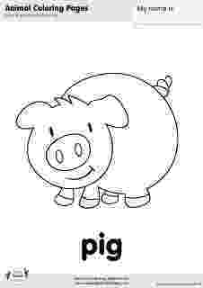 esl colouring pages animals cute black and white pig clip art pig crafts pig pages esl colouring animals 