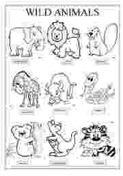 esl colouring pages animals free cat coloring page from super simple learning tons of esl animals colouring pages 